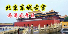 干逼喷水操出白浆视频中国北京-东城古宫旅游风景区
